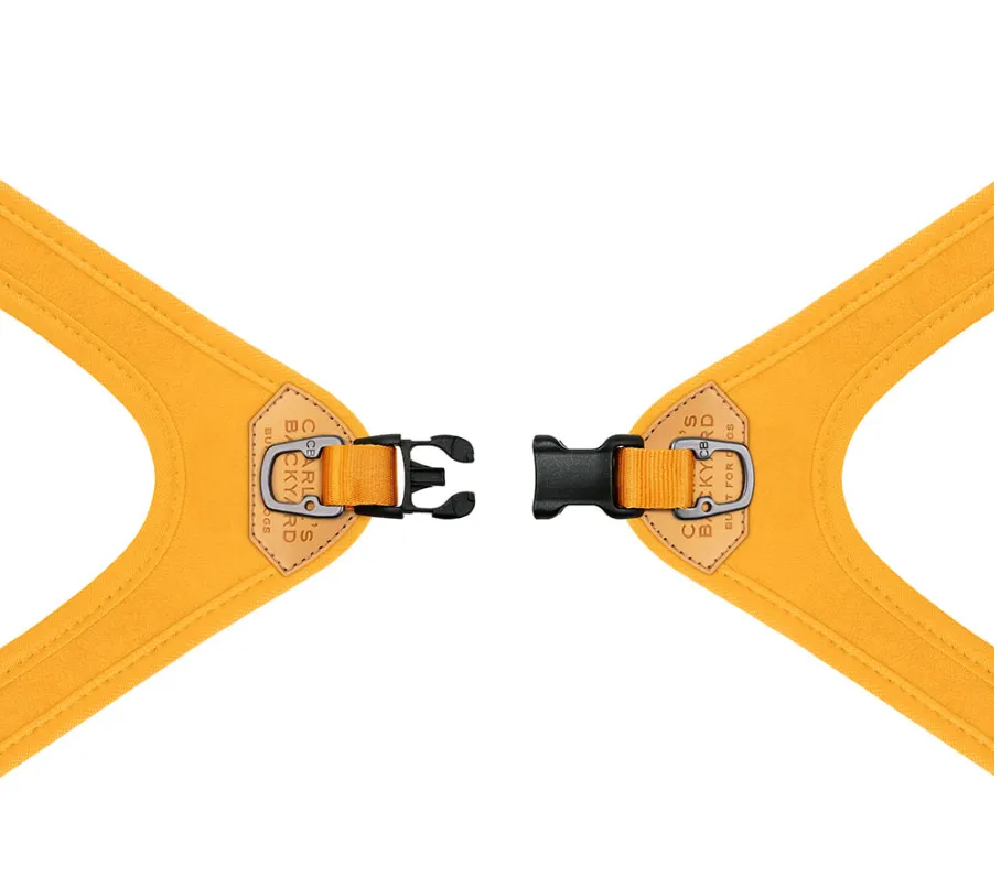 Buckle Up Easy Dog Harness in Gray