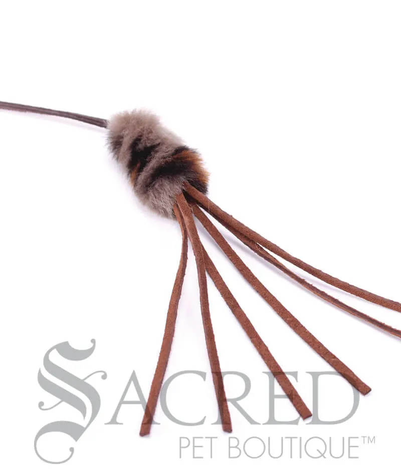 Cat Teaser Toys