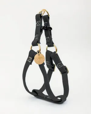 Cotton Webbing Dog Harness in Black (Made in the USA) (FINAL SALE)