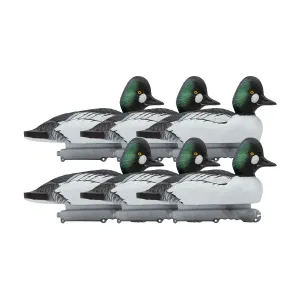 FA Common Goldeneye Floating Duck Decoys, 6 Pack