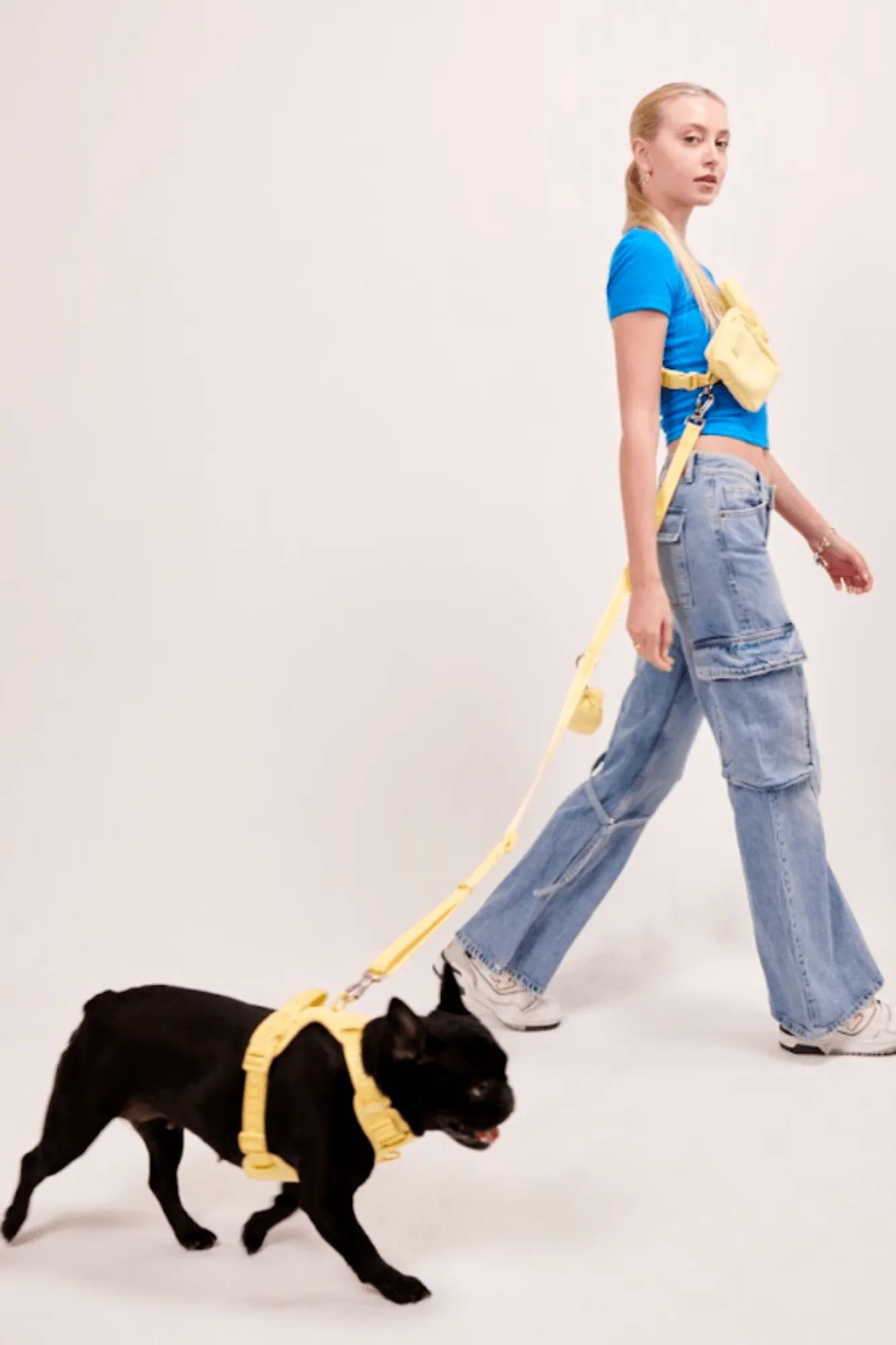 GO! With Ease Hands Free Leash