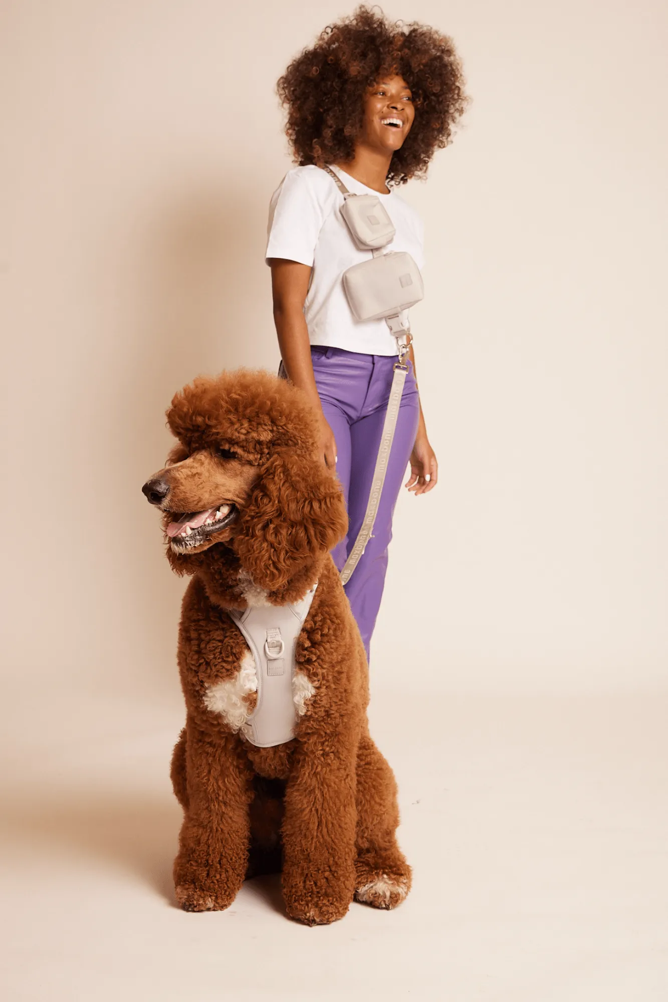 GO! With Ease Hands Free Leash