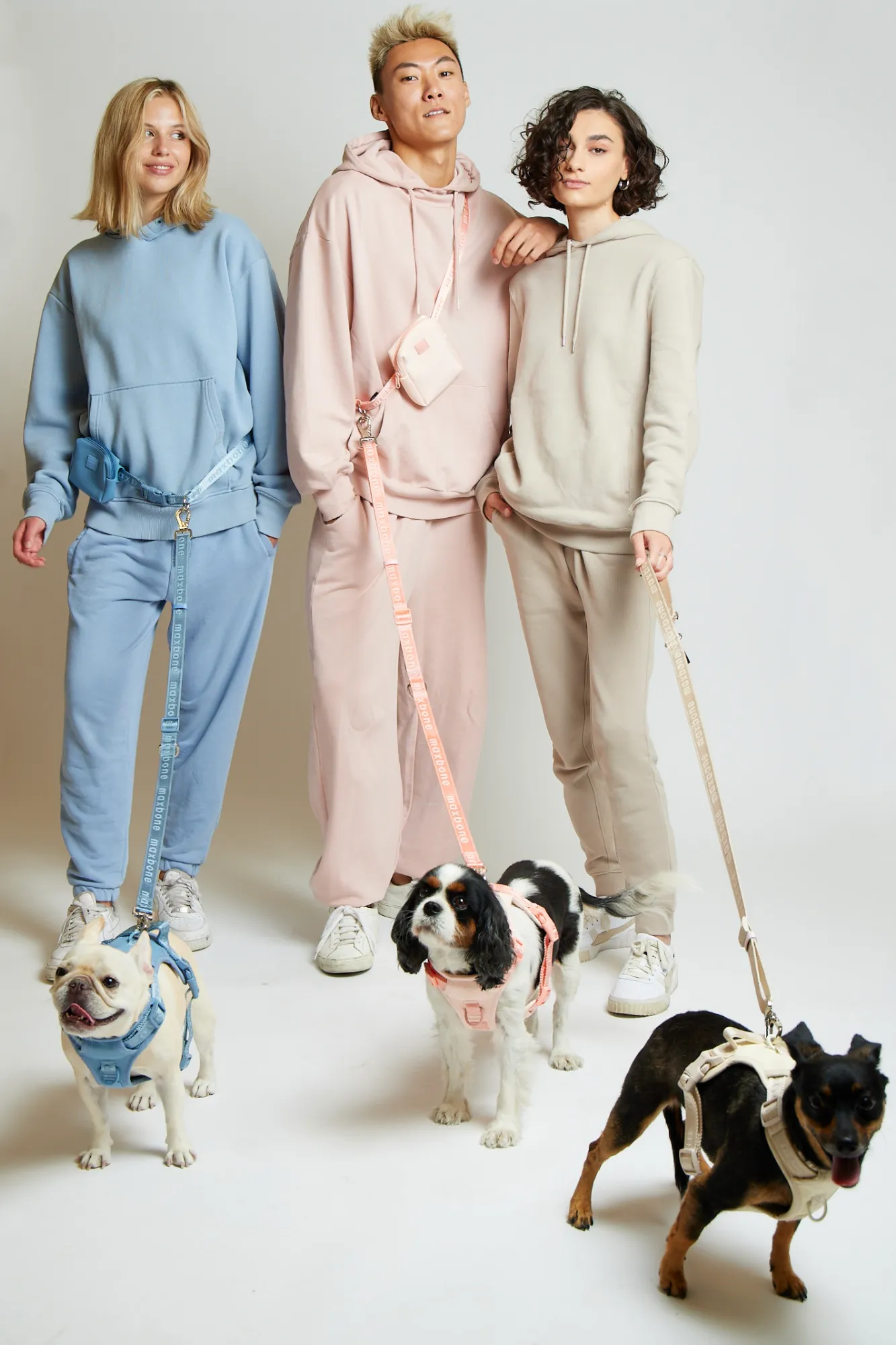 GO! With Ease Hands Free Leash