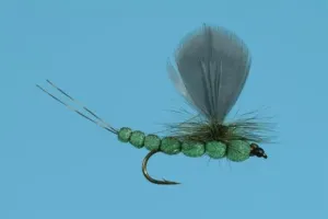Green Drake Foam - Solitude