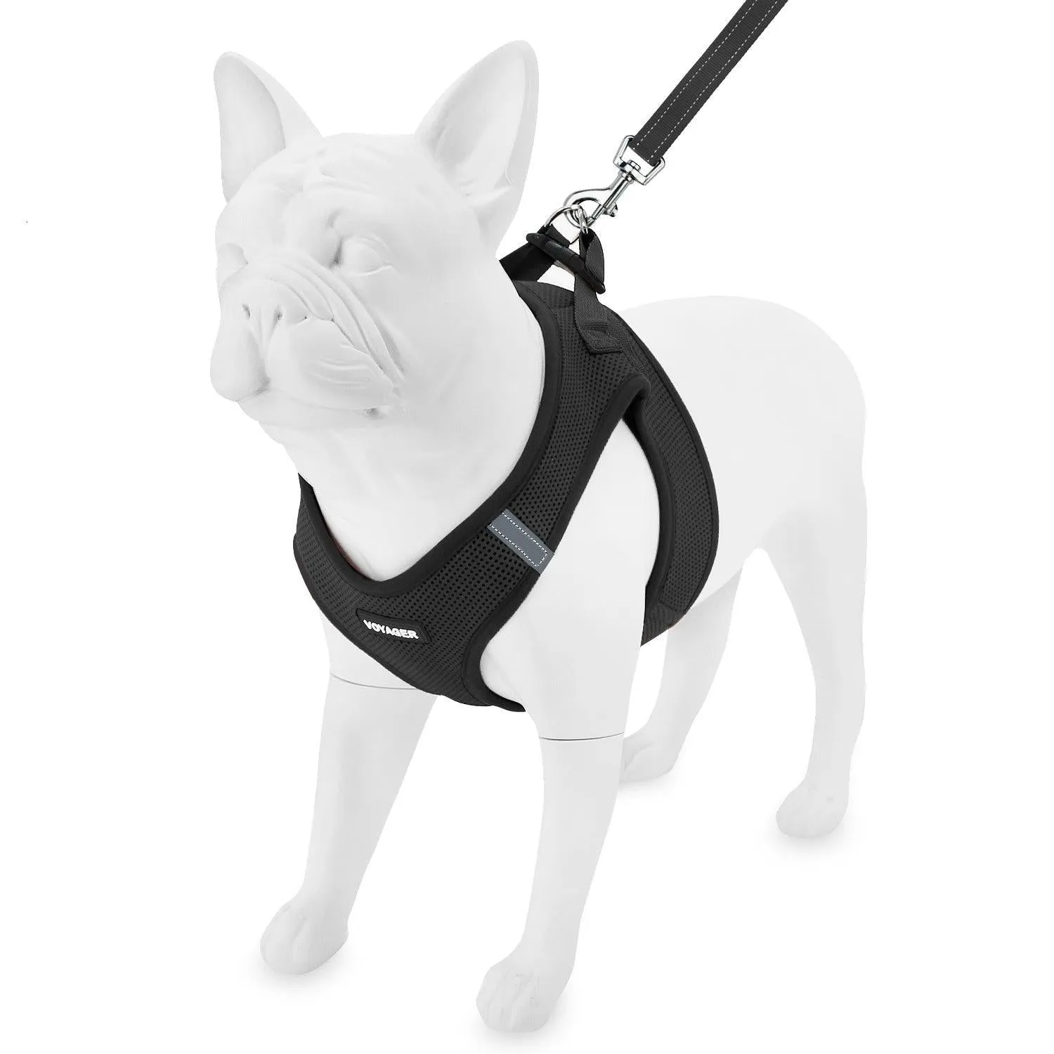 Halloween Step-in Air Harness & Leash Set