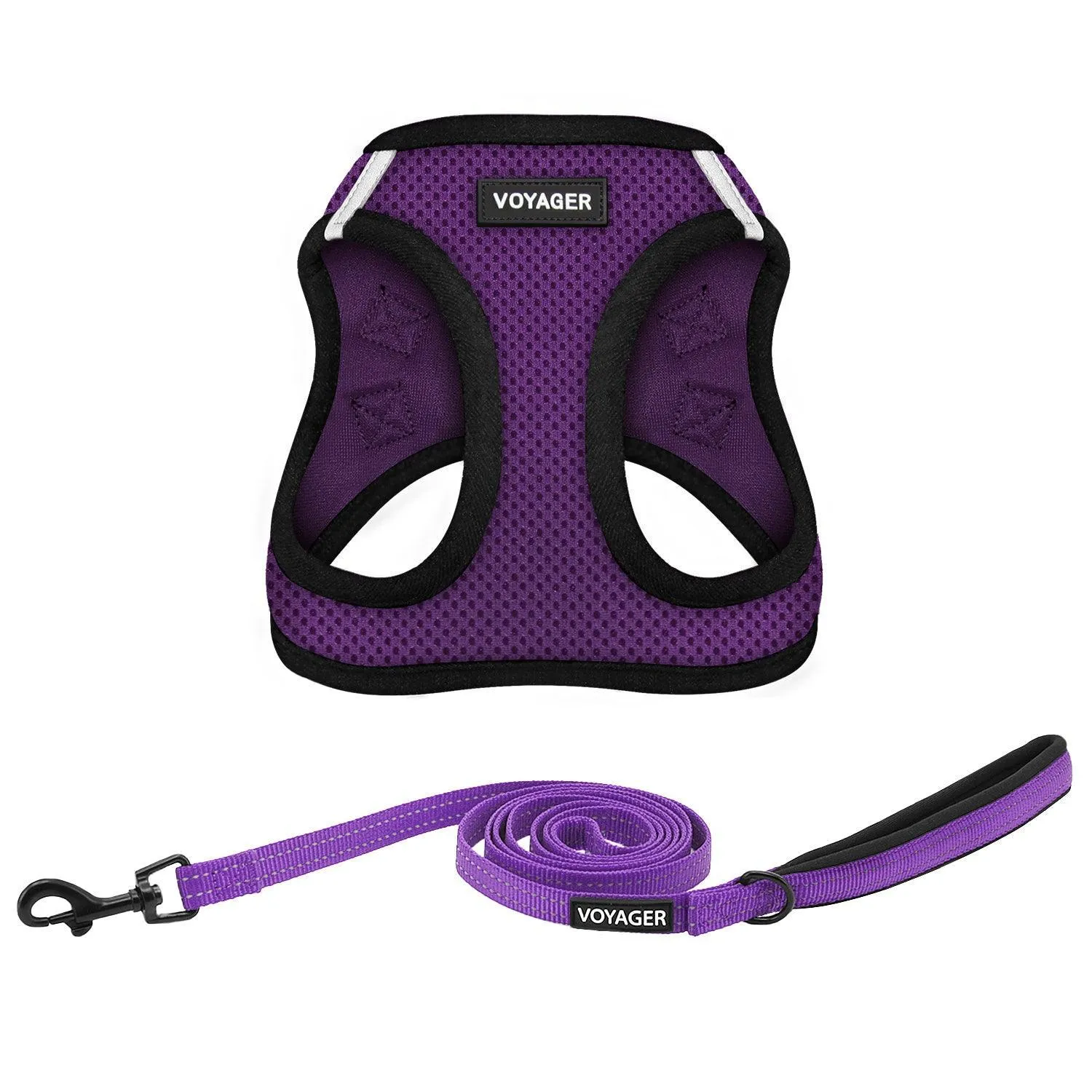 Halloween Step-in Air Harness & Leash Set