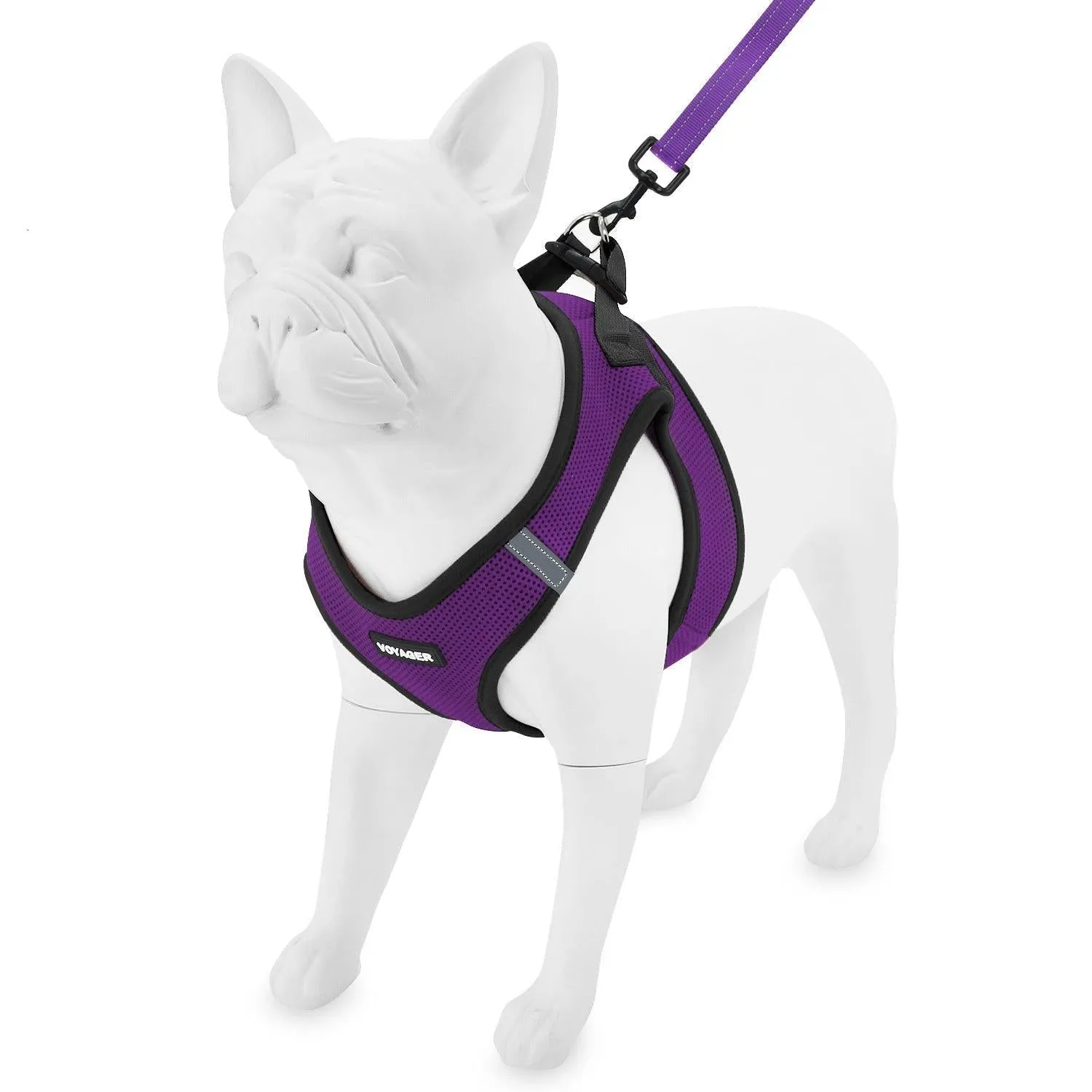 Halloween Step-in Air Harness & Leash Set