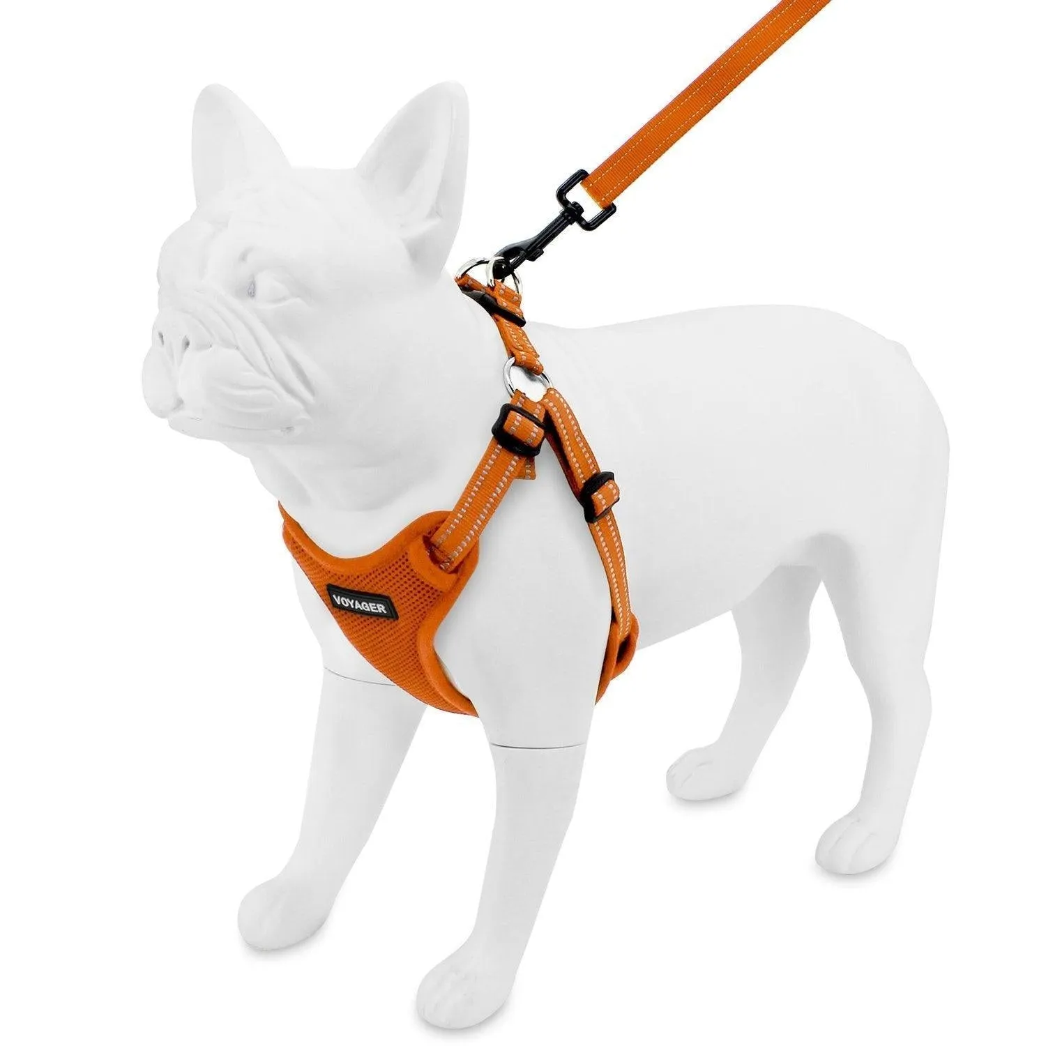 Halloween Step-In Flex Harness & Leash Set