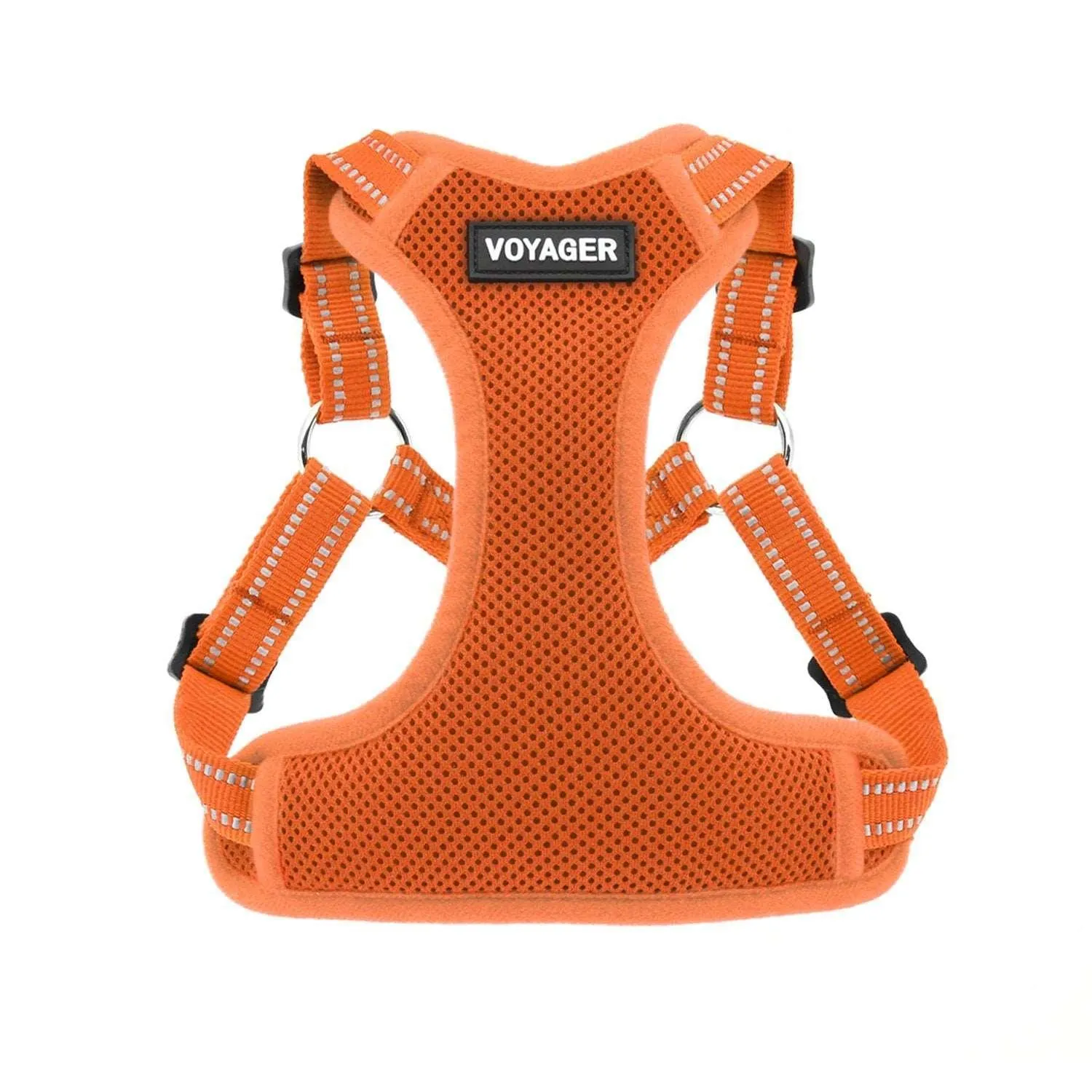 Halloween Step-In Flex Harness & Leash Set