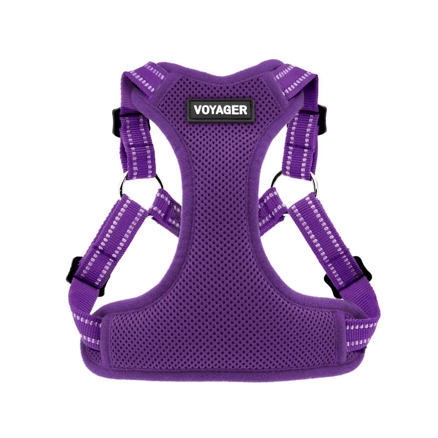 Halloween Step-In Flex Harness & Leash Set