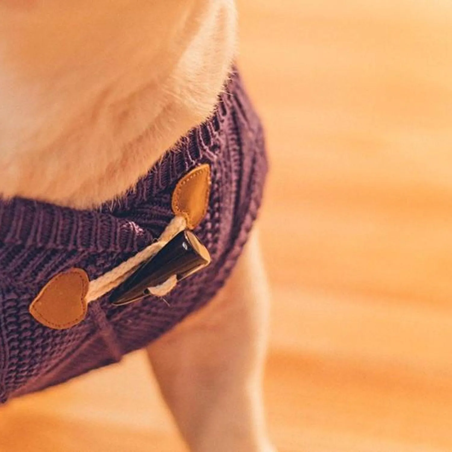 Knit Cable Dog Jumper