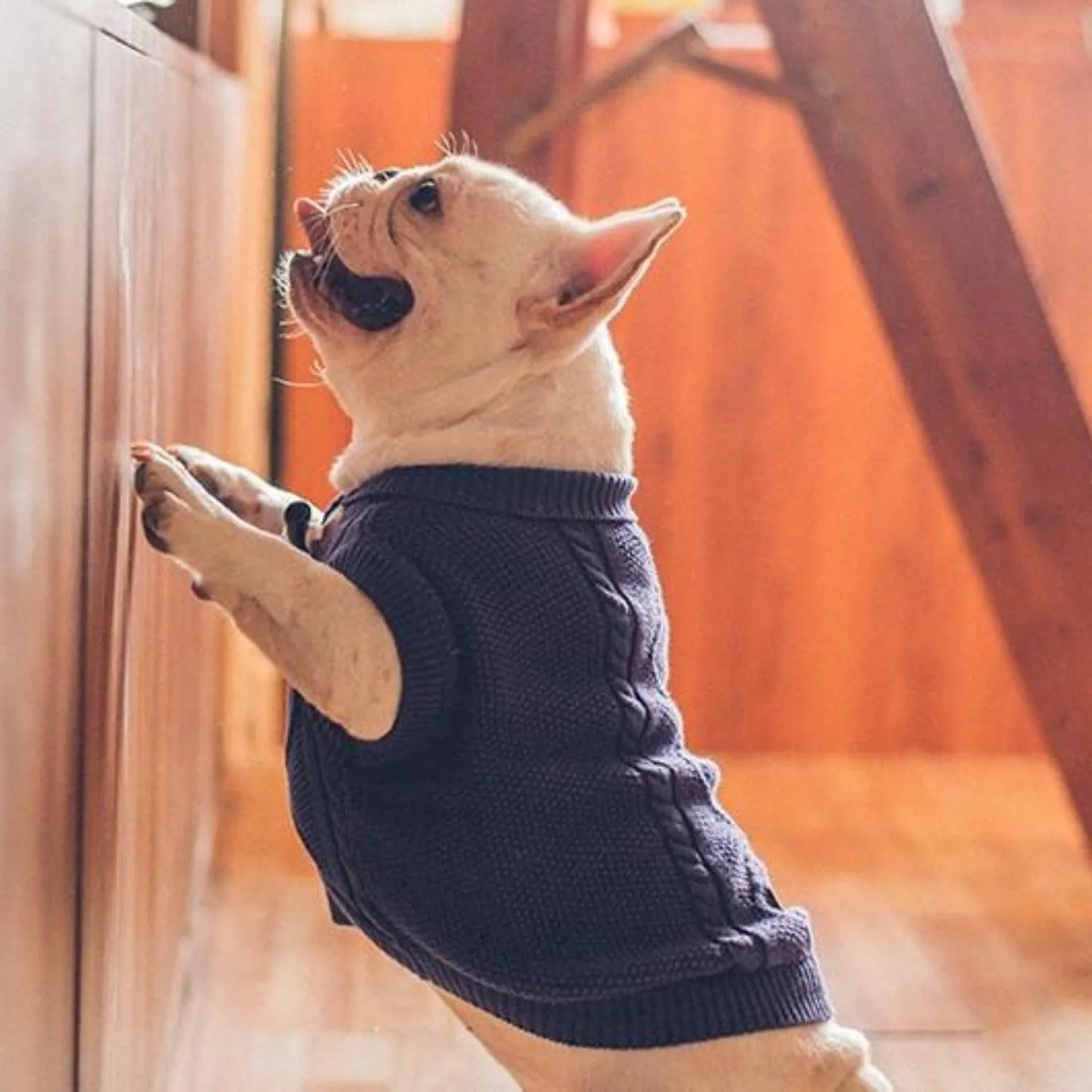 Knit Cable Dog Jumper
