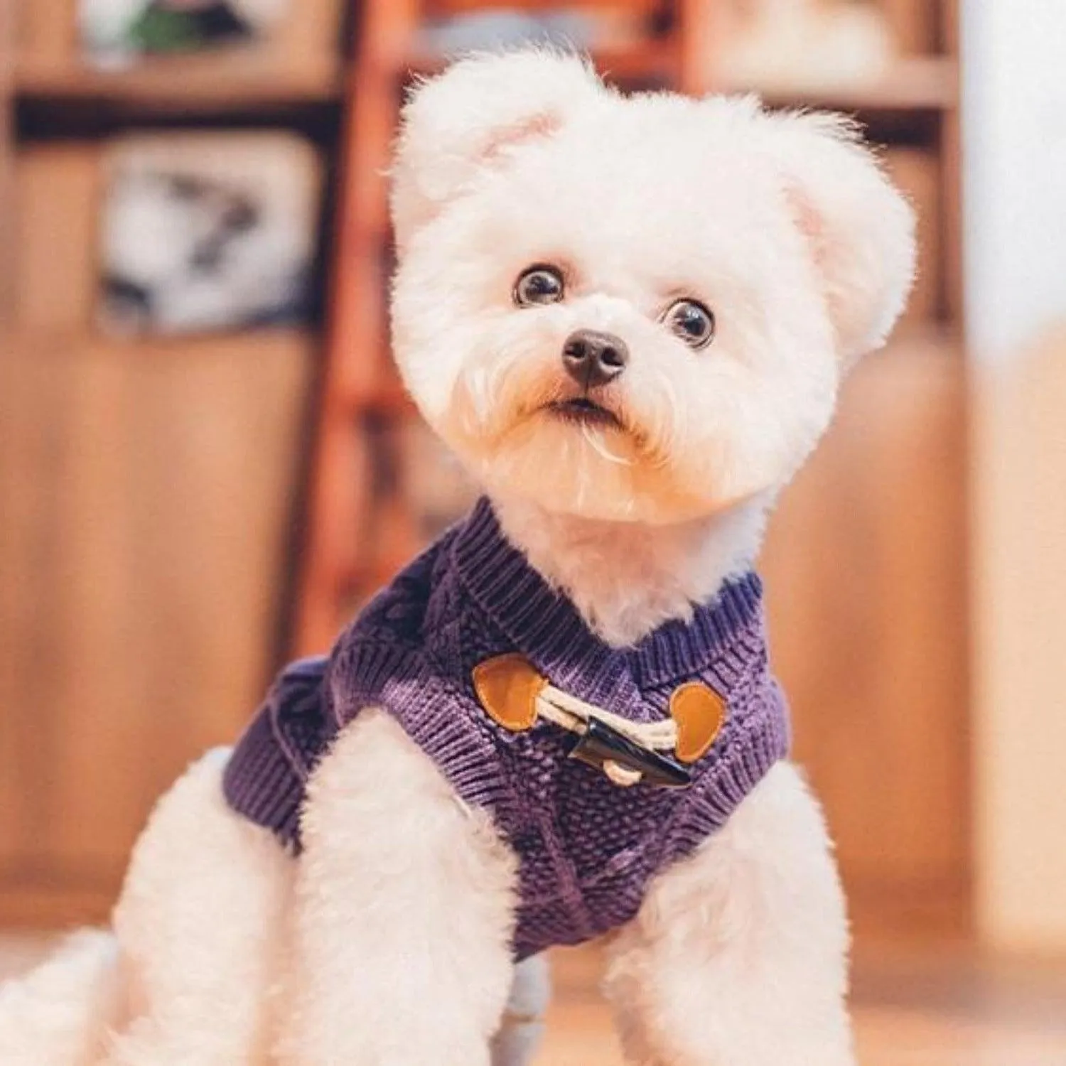 Knit Cable Dog Jumper