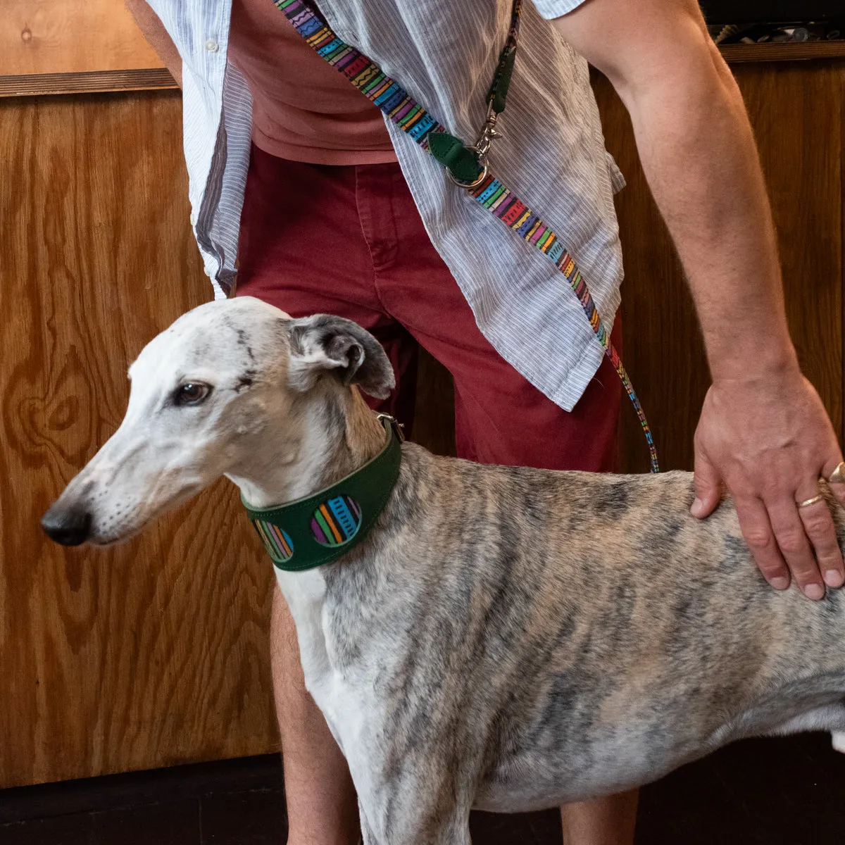 Rainbow Stripe Hands Free (Coupler) Dog Lead