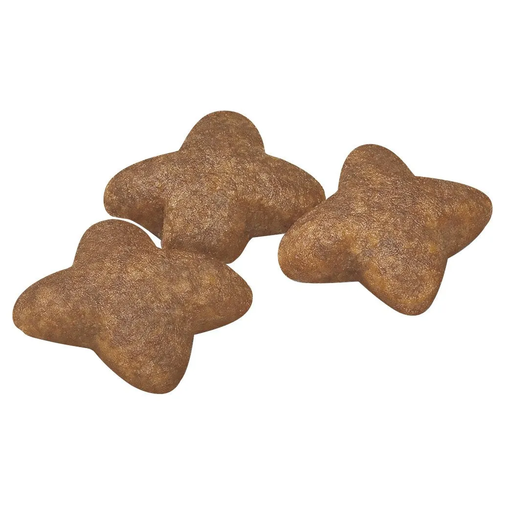 Royal Canin Dog Mini Adult Dry Food 2kg^^^