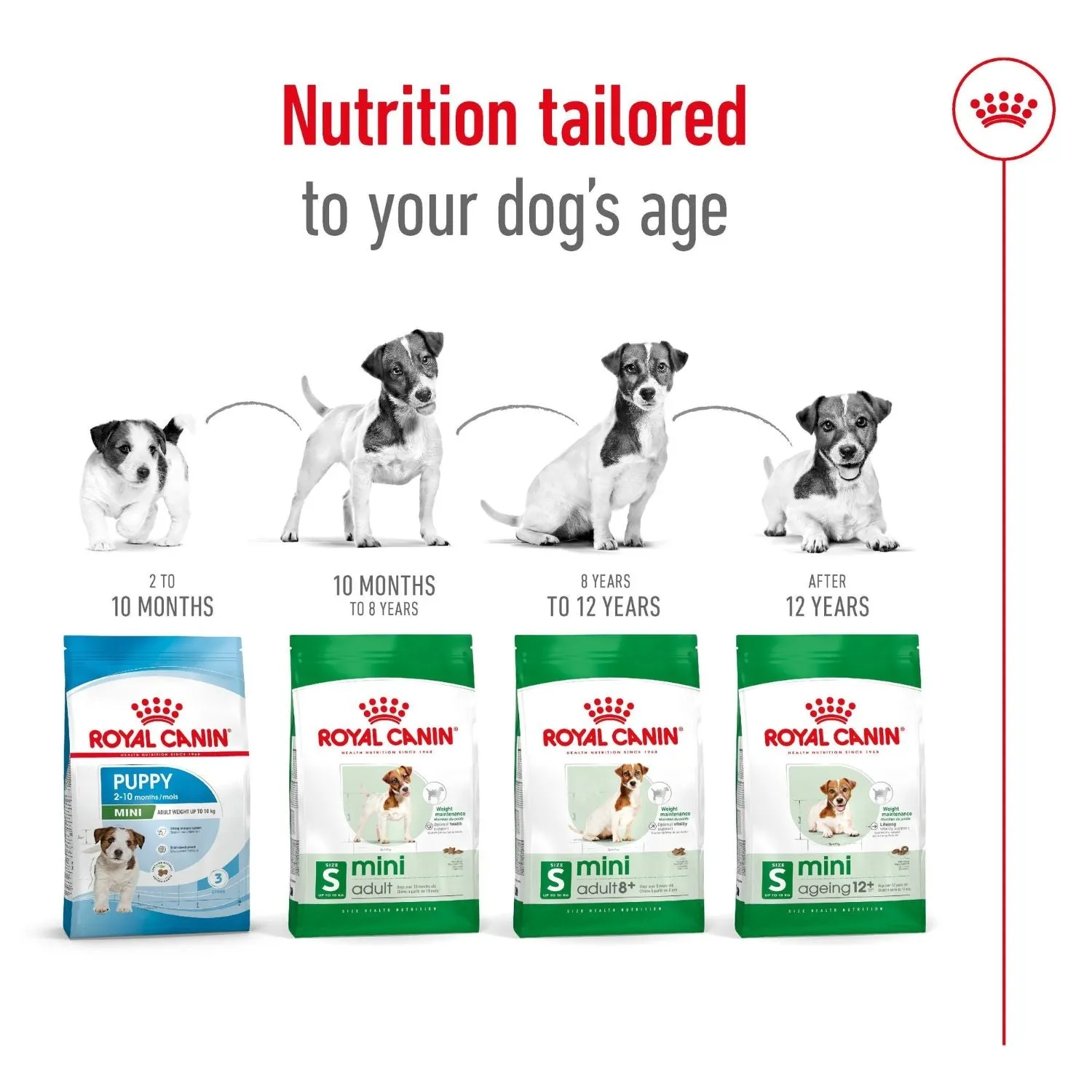 Royal Canin Dog Mini Adult Dry Food 8kg^^^