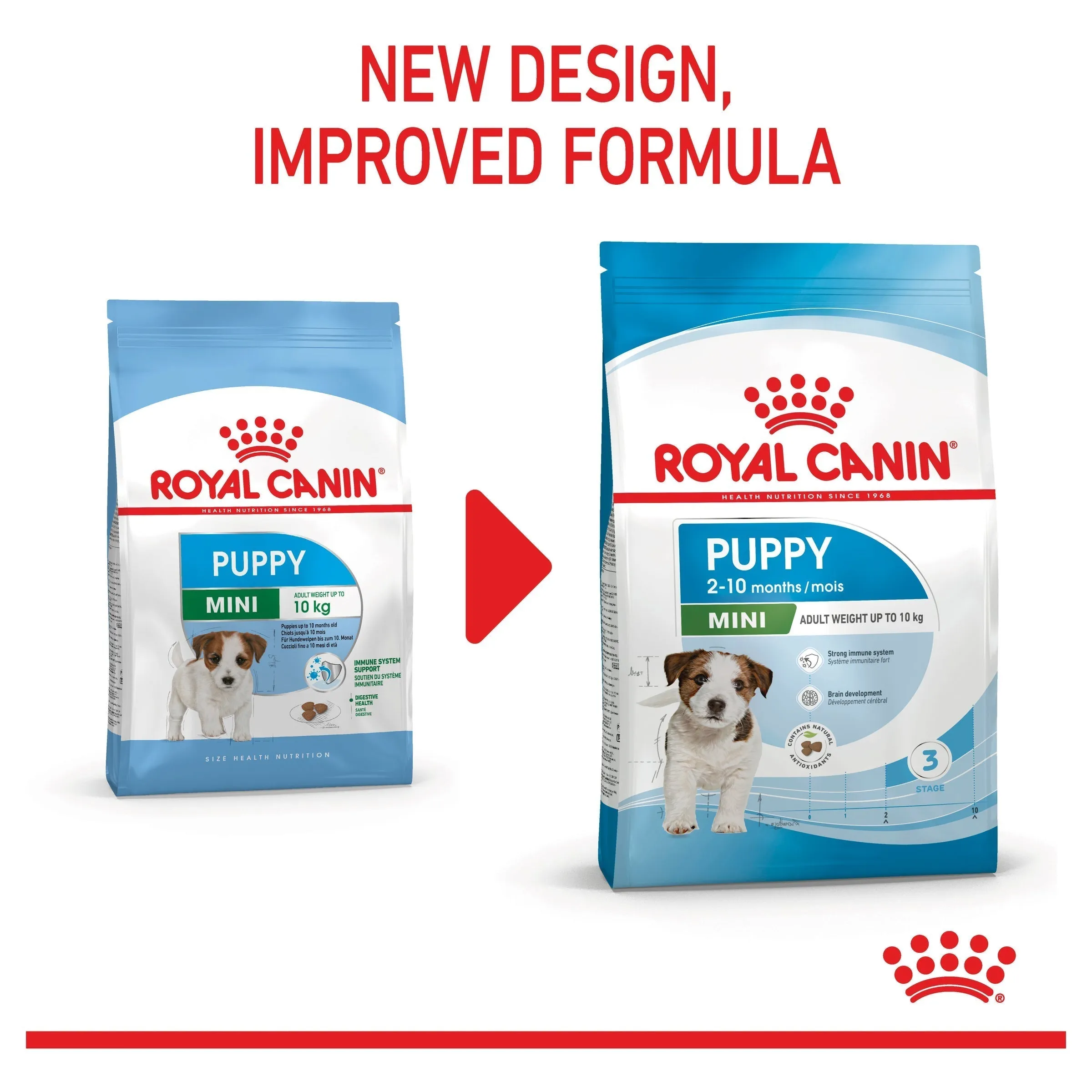 Royal Canin Dog Mini Puppy Dry Food 2kg