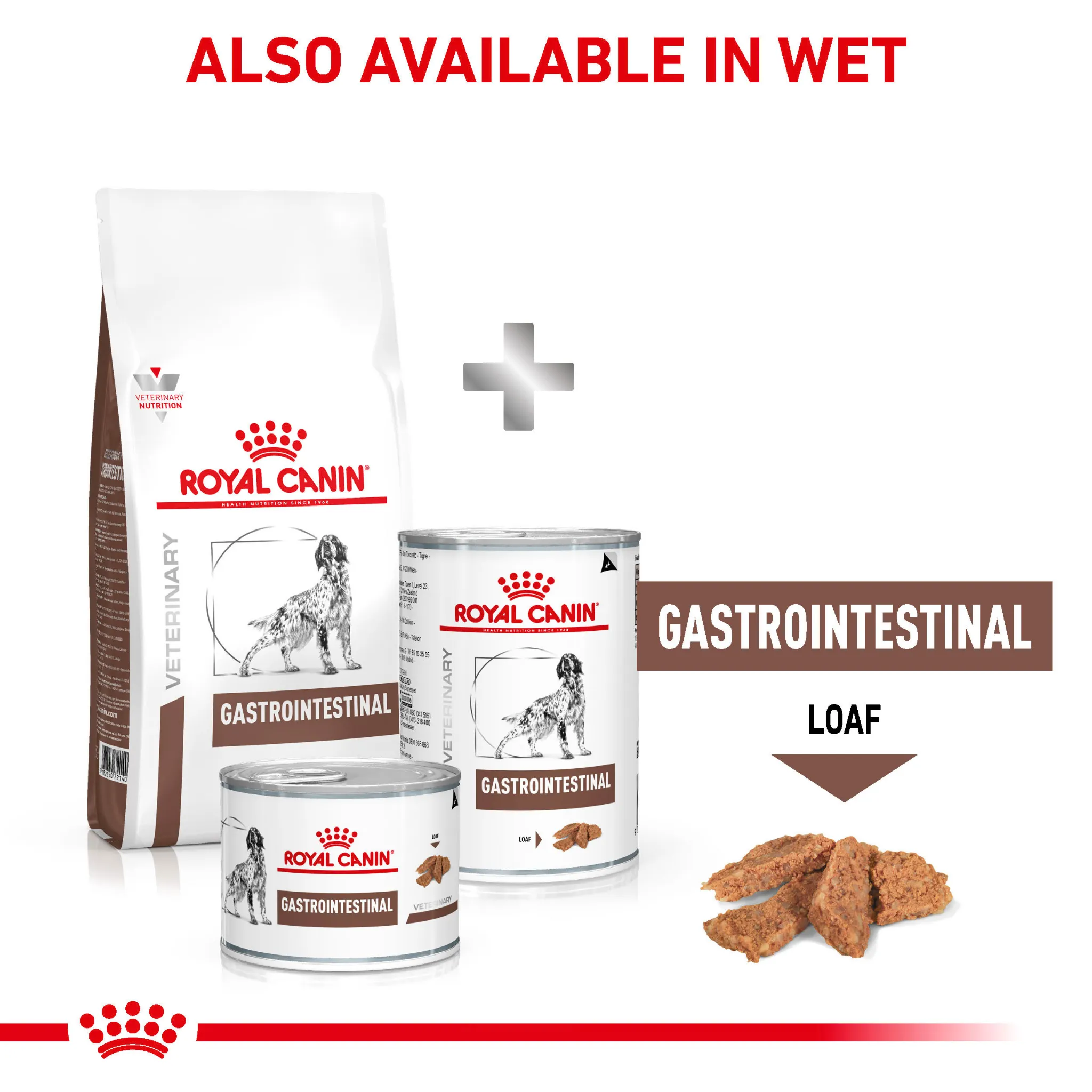 ROYAL CANIN® Gastrointestinal Adult Dry Dog Food