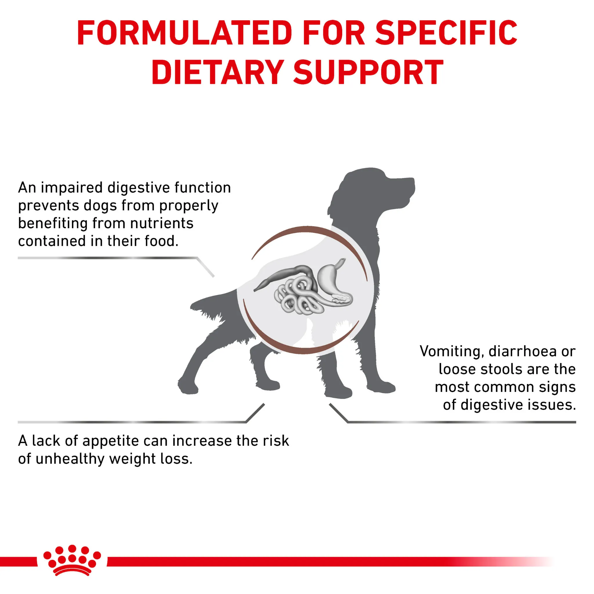 ROYAL CANIN® Gastrointestinal Adult Dry Dog Food