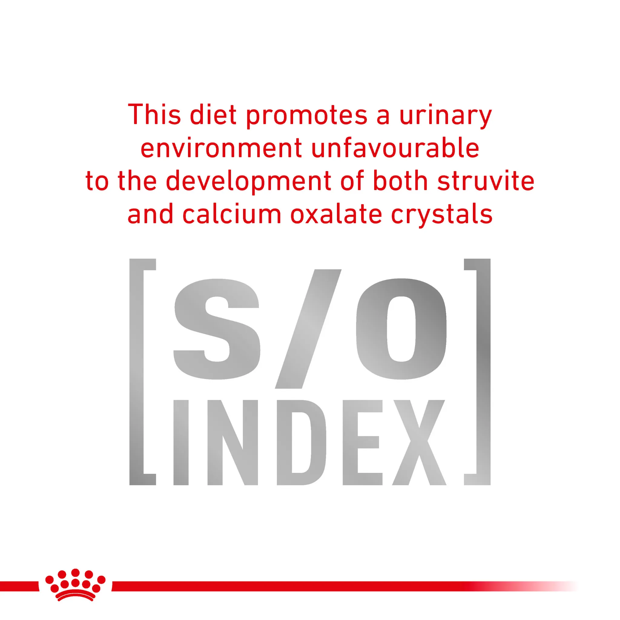 ROYAL CANIN® Satiety Adult Wet Dog Food