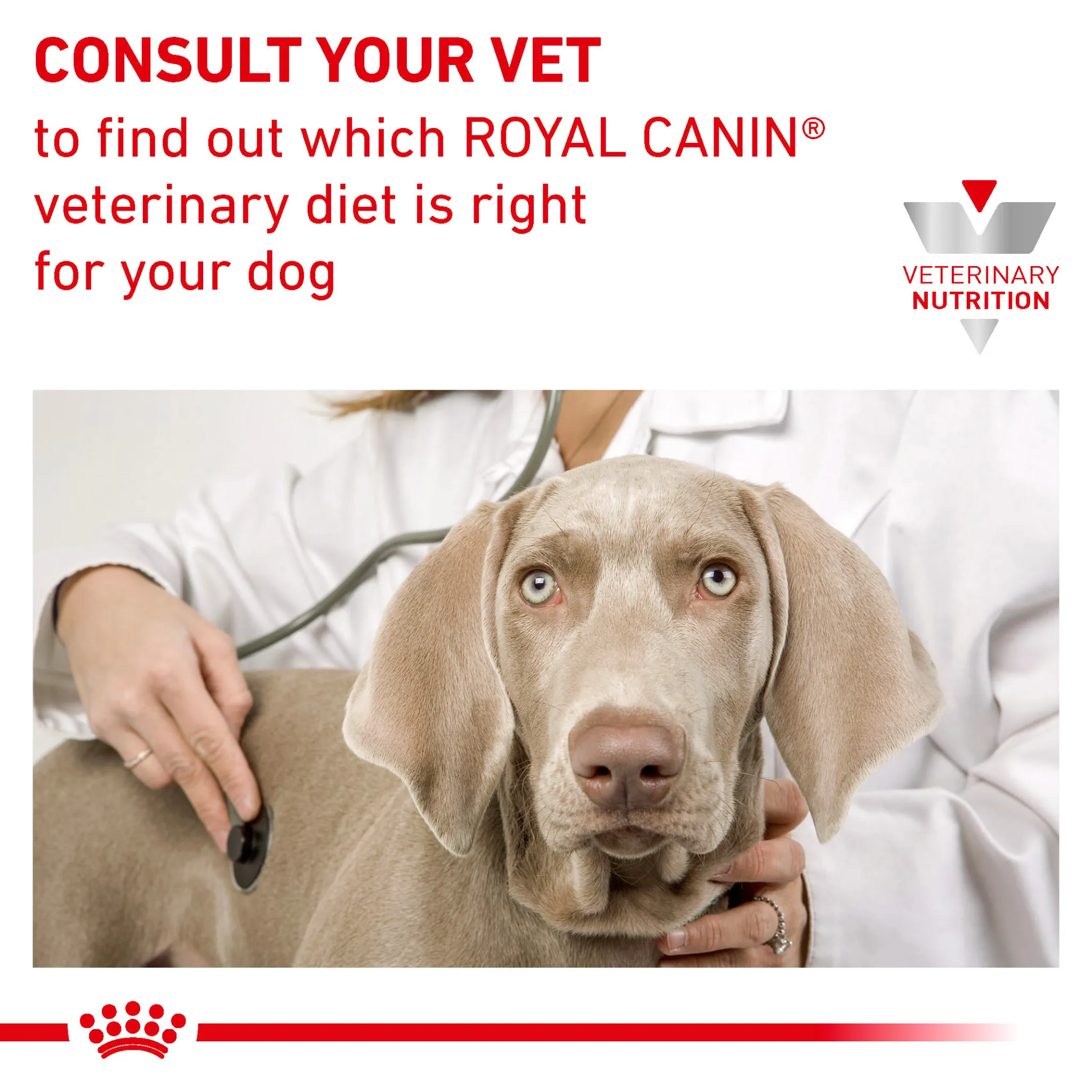 ROYAL CANIN® Satiety Adult Wet Dog Food