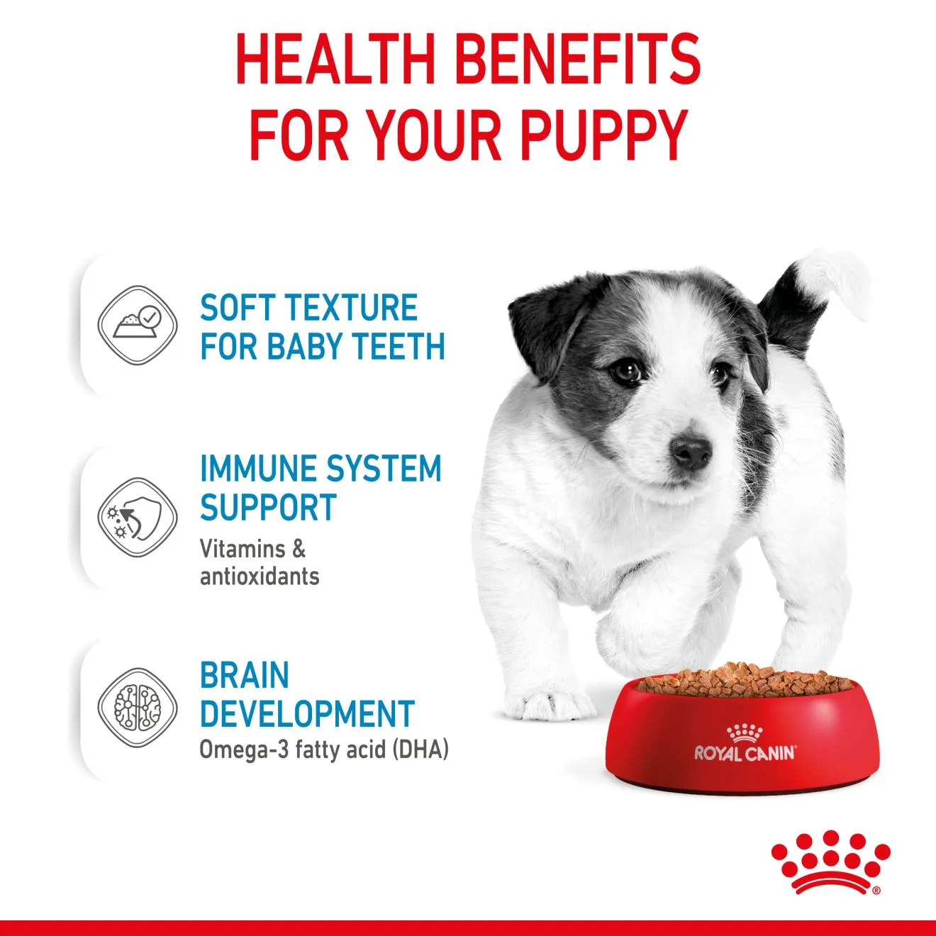 Royal Canin | Size Health Nutrition Wet Dog Food | Mini Puppy - 85g