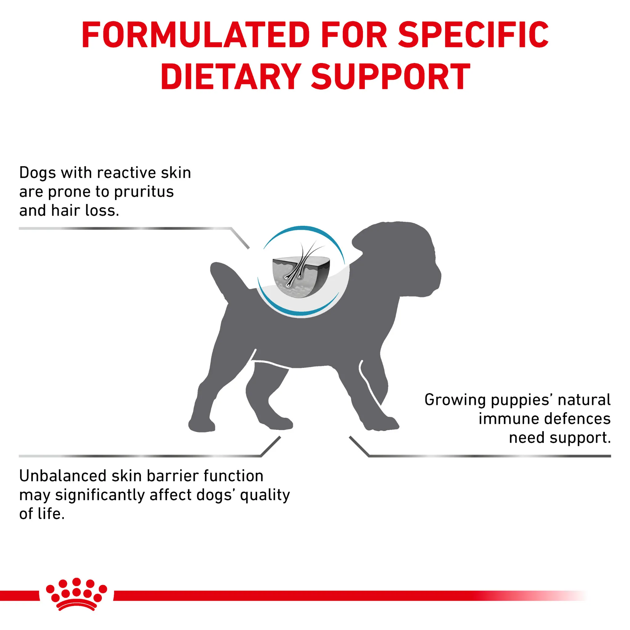 ROYAL CANIN® Skin Care Puppy Small Dog Dry Food