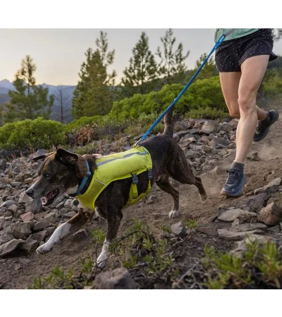 Ruffwear Trail Runner™ Lightweight & Dynamic Stretch Dog Leash (Blue Pool)