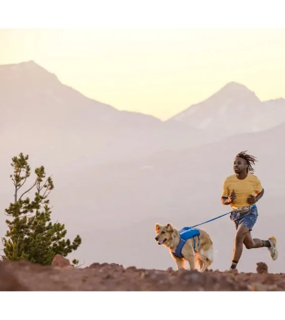 Ruffwear Trail Runner™ Lightweight & Dynamic Stretch Dog Leash (Blue Pool)