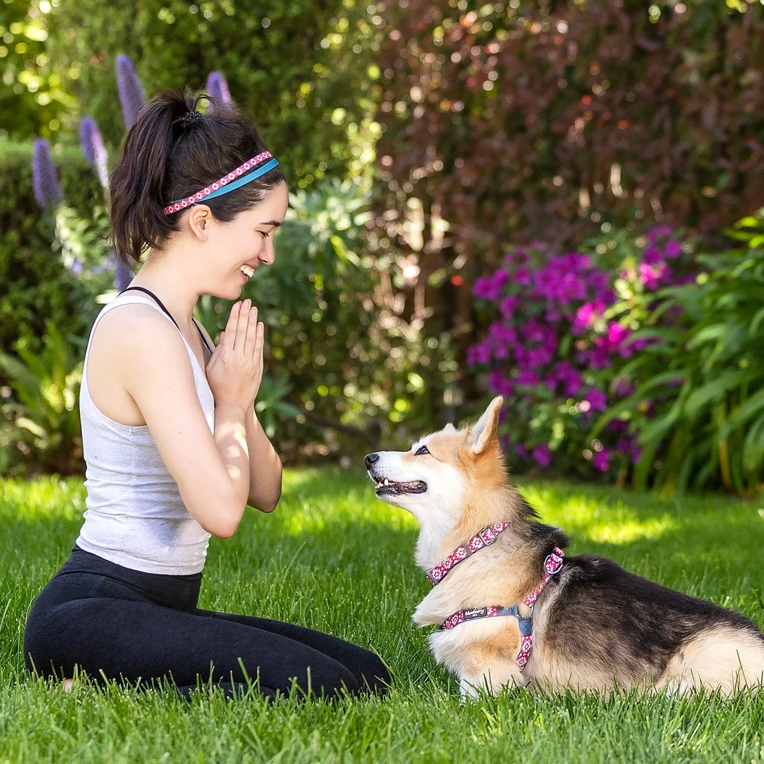 Southwestern Pattern Dog Harness