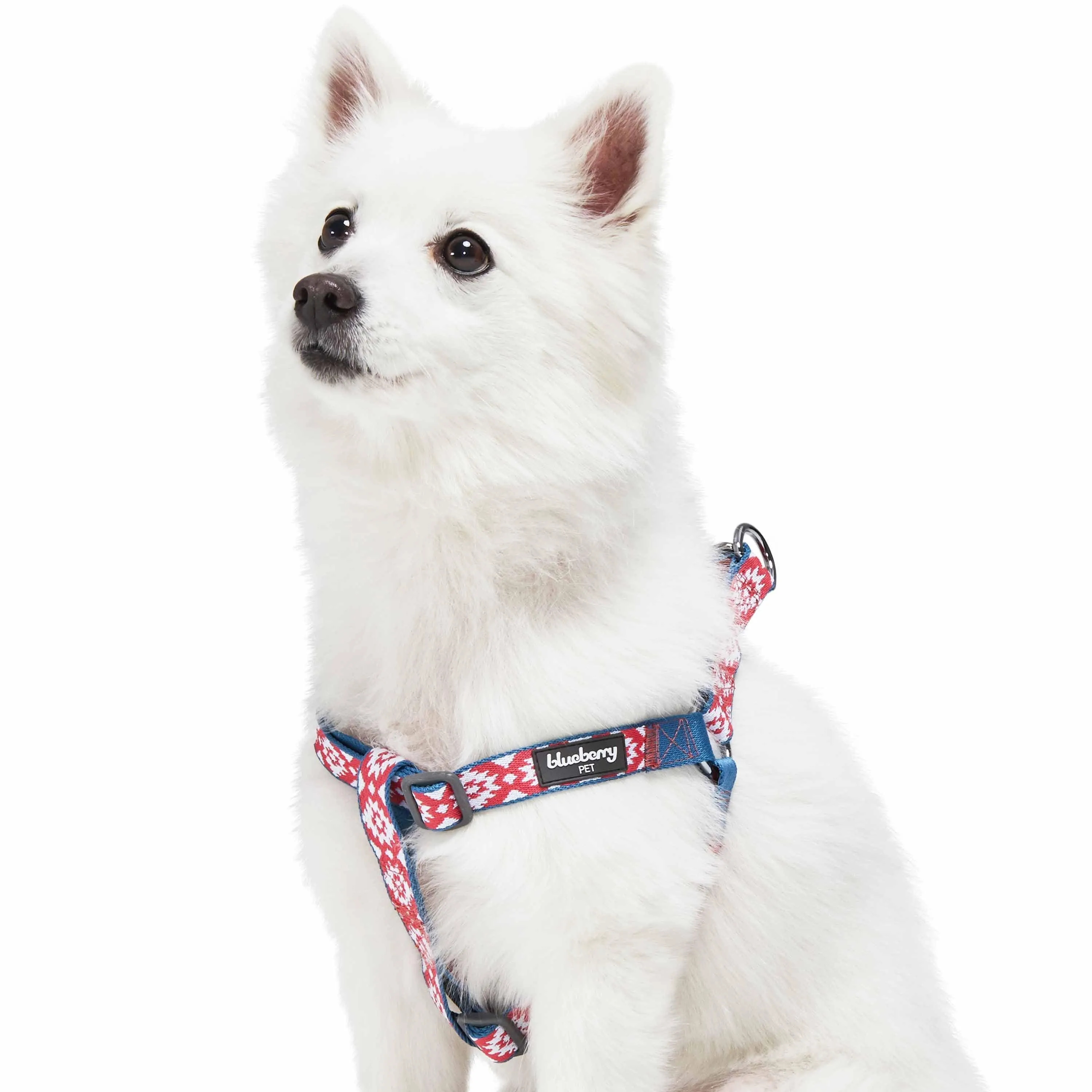 Southwestern Pattern Dog Harness