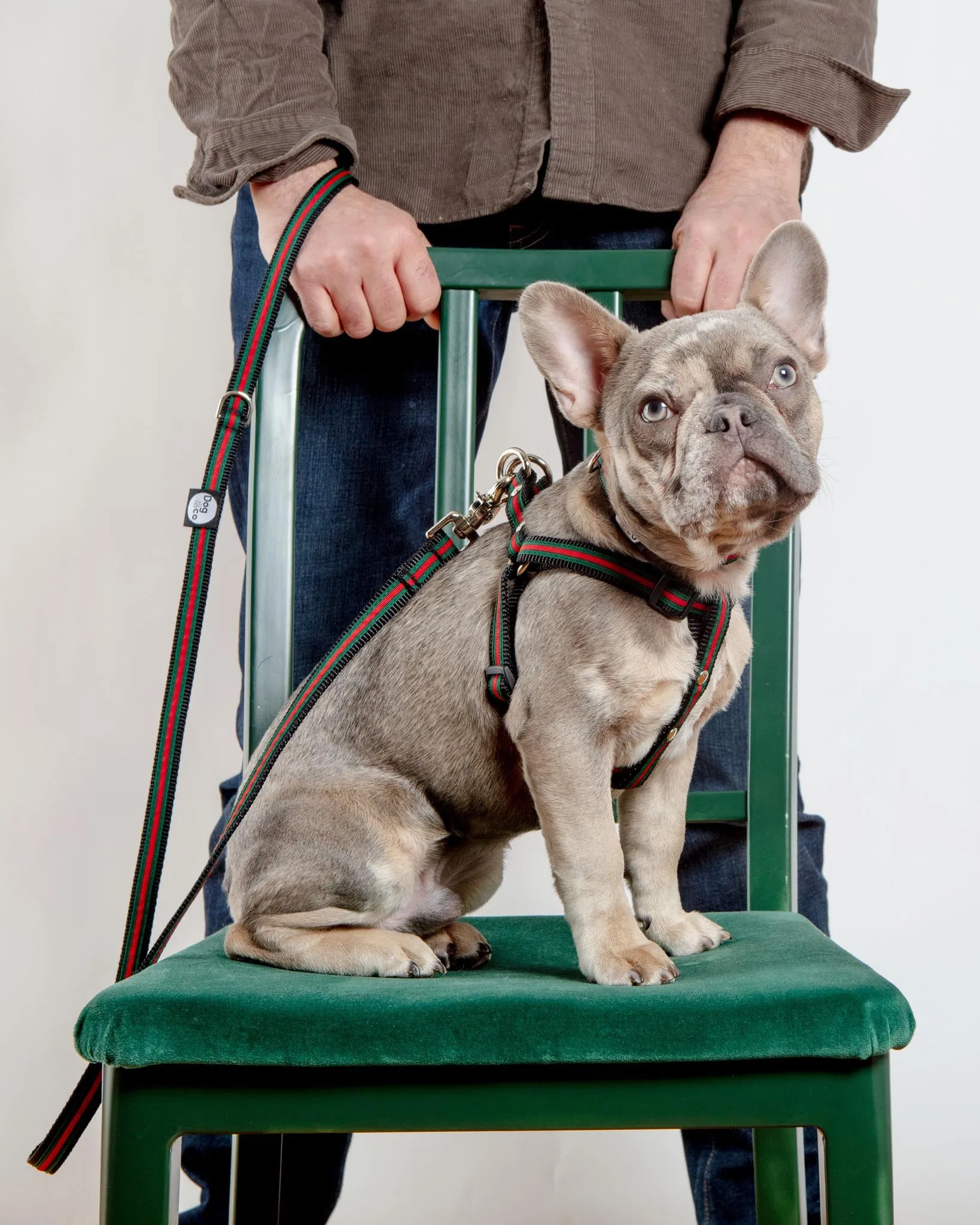 Step-In Dog Harness in Luxe Green & Red Stripe (Made in NYC)