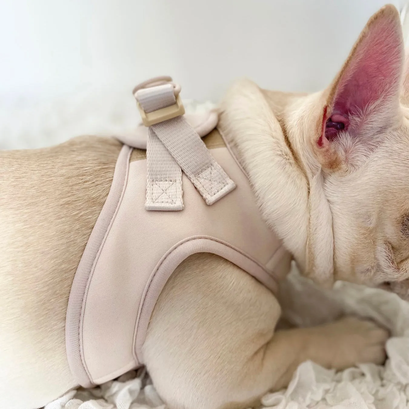 step-in dog harness - nude