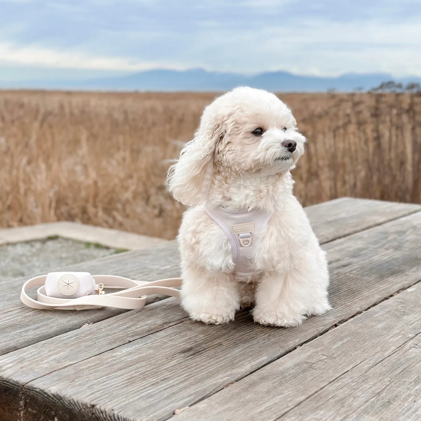 step-in dog harness - nude