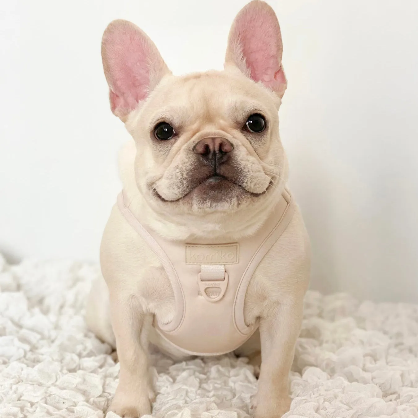 step-in dog harness - nude